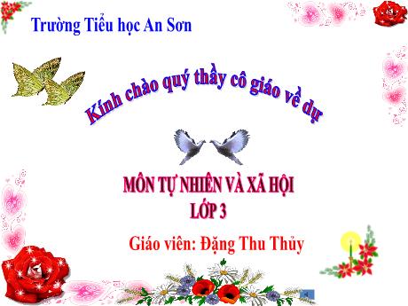 Bài giảng Tự nhiên và Xã hội Lớp 3 (Kết nối tri thức) - Chủ đề 9: Cộng đồng địa phương - Bài 9: Hoạt động sản xuất nông nghiệp - Đặng Thu Thủy